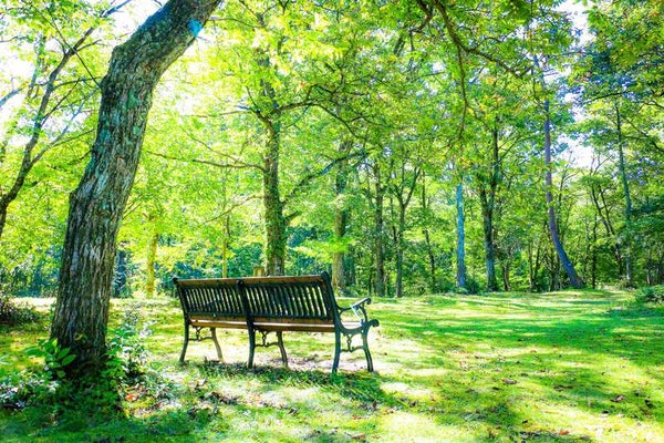 【阪神地区発】 涼を求めて!五感で味わう夏の納涼ミステリー 日帰り1